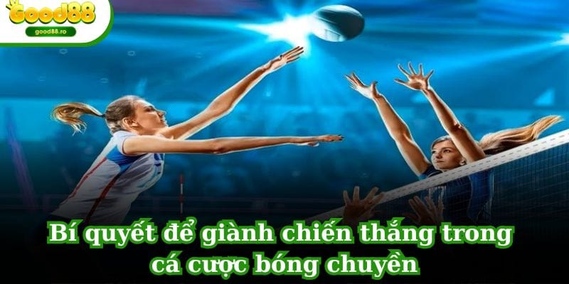 Bí quyết để giành chiến thắng trong cá cược bóng chuyền