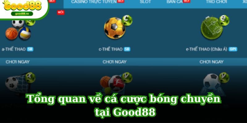 Tổng quan về cá cược bóng chuyền tại GOOD88